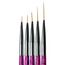 Körömdíszítő ecset készlet 5db-os